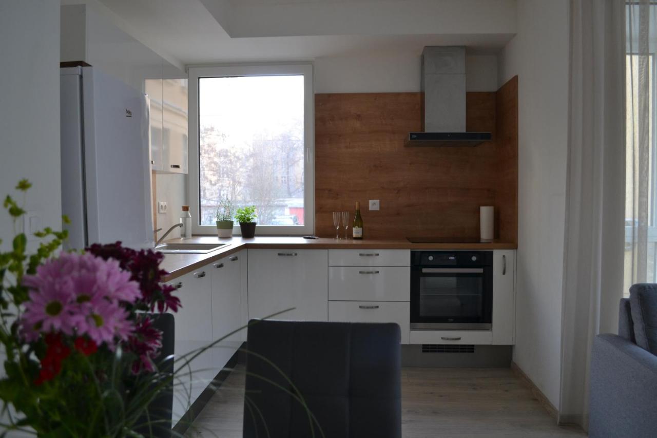 Elegant Escape Apartment II - City Centre ブラチスラヴァ エクステリア 写真