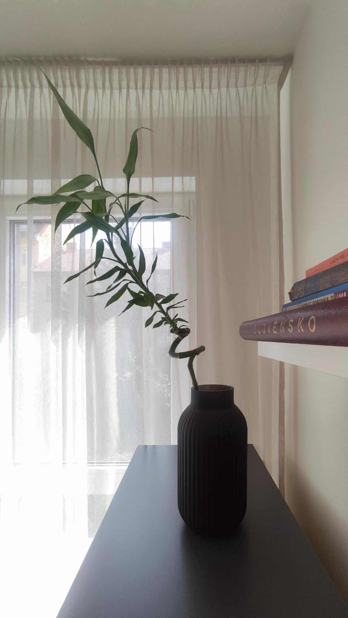Elegant Escape Apartment II - City Centre ブラチスラヴァ エクステリア 写真